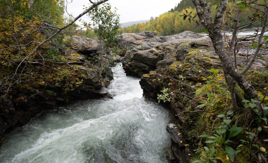 The Art of Slow Travel: Embracing Nature’s Pace